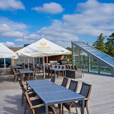 Vinice Hotel Hnanice (Znojmo)