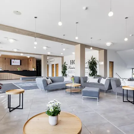 Vinice Hotel Hnanice (Znojmo)